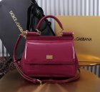 Dolce & Gabbana High Quality Handbags 628