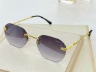 Cartier High Quality Sunglasses 814