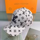 Louis Vuitton High Quality Hats 295