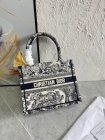 DIOR High Quality Handbags 636