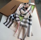 Burberry Scarves 293