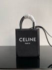 CELINE Original Quality Handbags 539