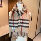 Burberry Scarves 151