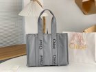 Chloe Original Quality Handbags 349