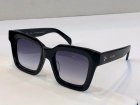 CELINE High Quality Sunglasses 09