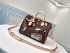 Louis Vuitton Original Quality Handbags 496