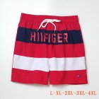 Tommy Hilfiger Men's Shorts 29