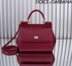 Dolce & Gabbana High Quality Handbags 666