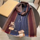 Burberry Scarves 391