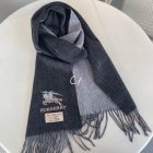 Burberry Scarves 83
