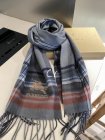 Burberry Scarves 208