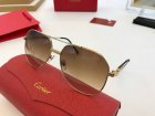 Cartier High Quality Sunglasses 390