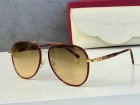 Salvatore Ferragamo High Quality Sunglasses 505