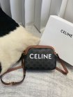 CELINE High Quality Handbags 36