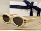 DIOR High Quality Sunglasses 1384