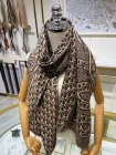DIOR Scarves 50