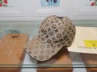 Louis Vuitton High Quality Hats 353