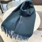 Loewe Scarves 38