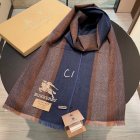 Burberry Scarves 392