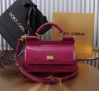 Dolce & Gabbana High Quality Handbags 519