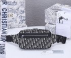 DIOR High Quality Handbags 109