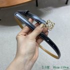 Loewe Belts 68