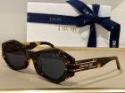 DIOR High Quality Sunglasses 1381