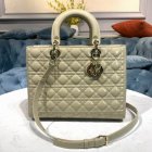 DIOR Original Quality Handbags 1066