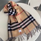 Burberry Scarves 373