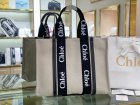 Chloe Original Quality Handbags 165
