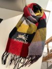 Burberry Scarves 213