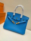 Hermes Original Quality Handbags 411