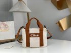 Chloe Original Quality Handbags 172