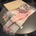Burberry Scarves 38