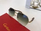 Cartier High Quality Sunglasses 573