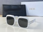 DIOR High Quality Sunglasses 141