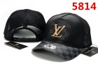 Louis Vuitton Normal Quality Hats 50