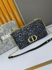 DIOR High Quality Handbags 793