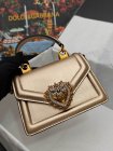 Dolce & Gabbana High Quality Handbags 29