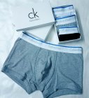 Calvin Klein Men's Underwear 209