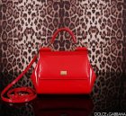 Dolce & Gabbana High Quality Handbags 45