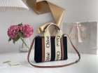 Chloe Original Quality Handbags 14