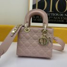 DIOR High Quality Handbags 789