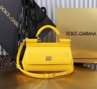 Dolce & Gabbana High Quality Handbags 523