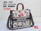 DIOR Normal Quality Handbags 178