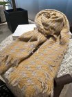DIOR Scarves 35