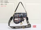 DIOR Normal Quality Handbags 44