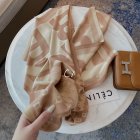 Burberry Scarves 442