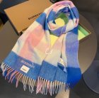 Burberry Scarves 168