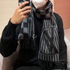 Louis Vuitton Scarves 73